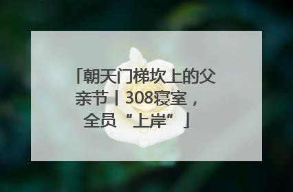 朝天门梯坎上的父亲节丨308寝室，全员“上岸”